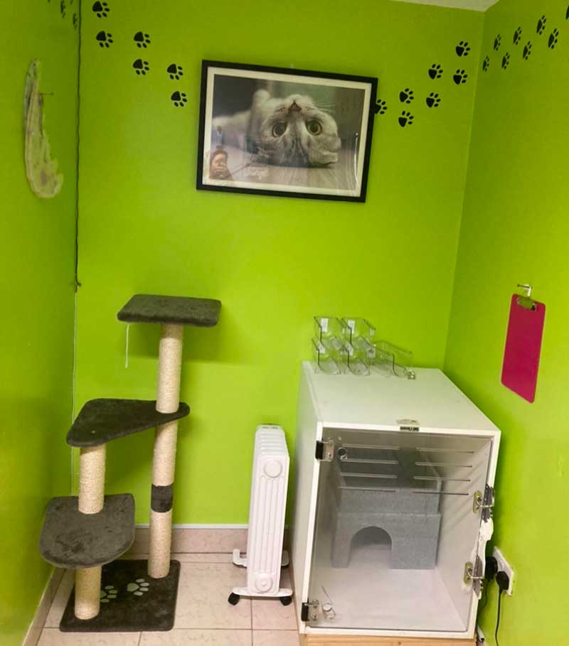 slaney-vets-baltinglass-5